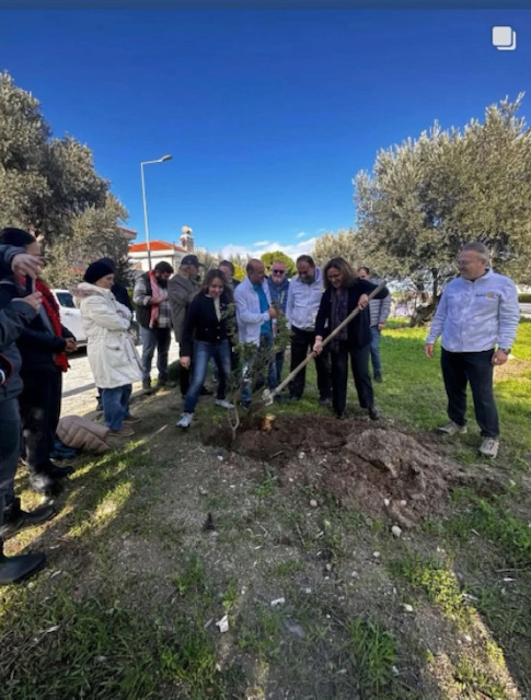 Cumhuriyetimizin 101. Yılında 101 Sakız Ağacı Dikimi